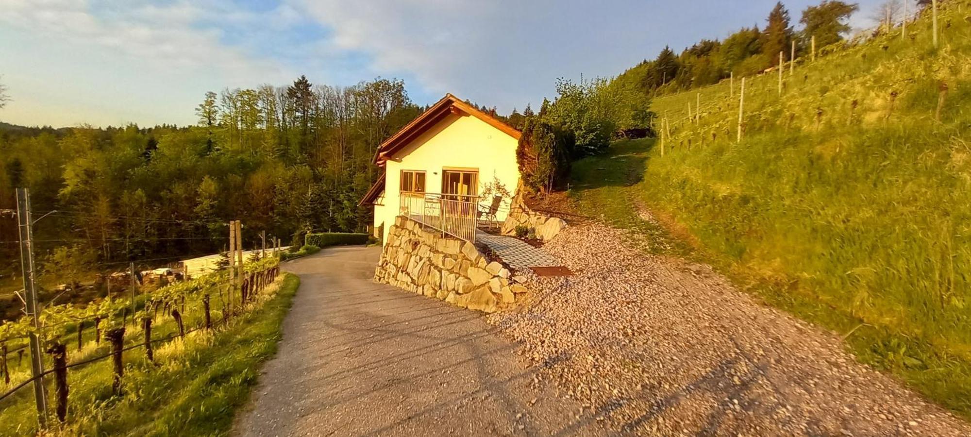 Schwarzwaldglueck Apartment Oberkirch  Exterior photo